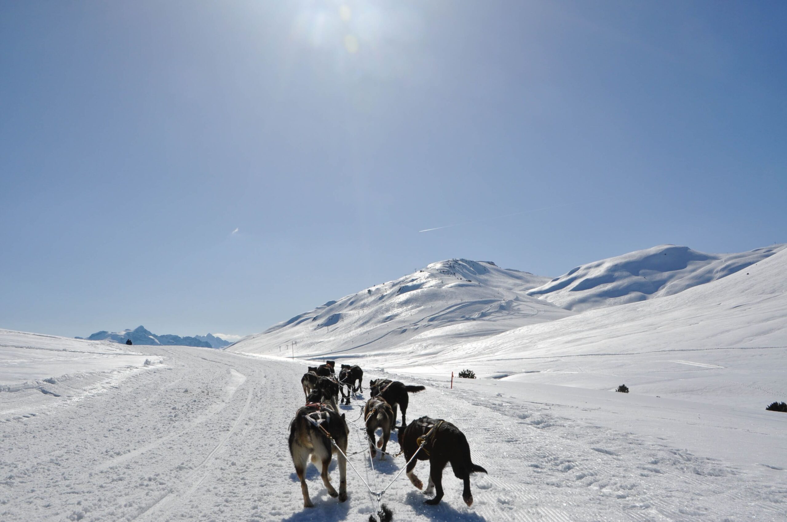 Mushing en Baqueira 