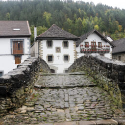 Ochagavia
