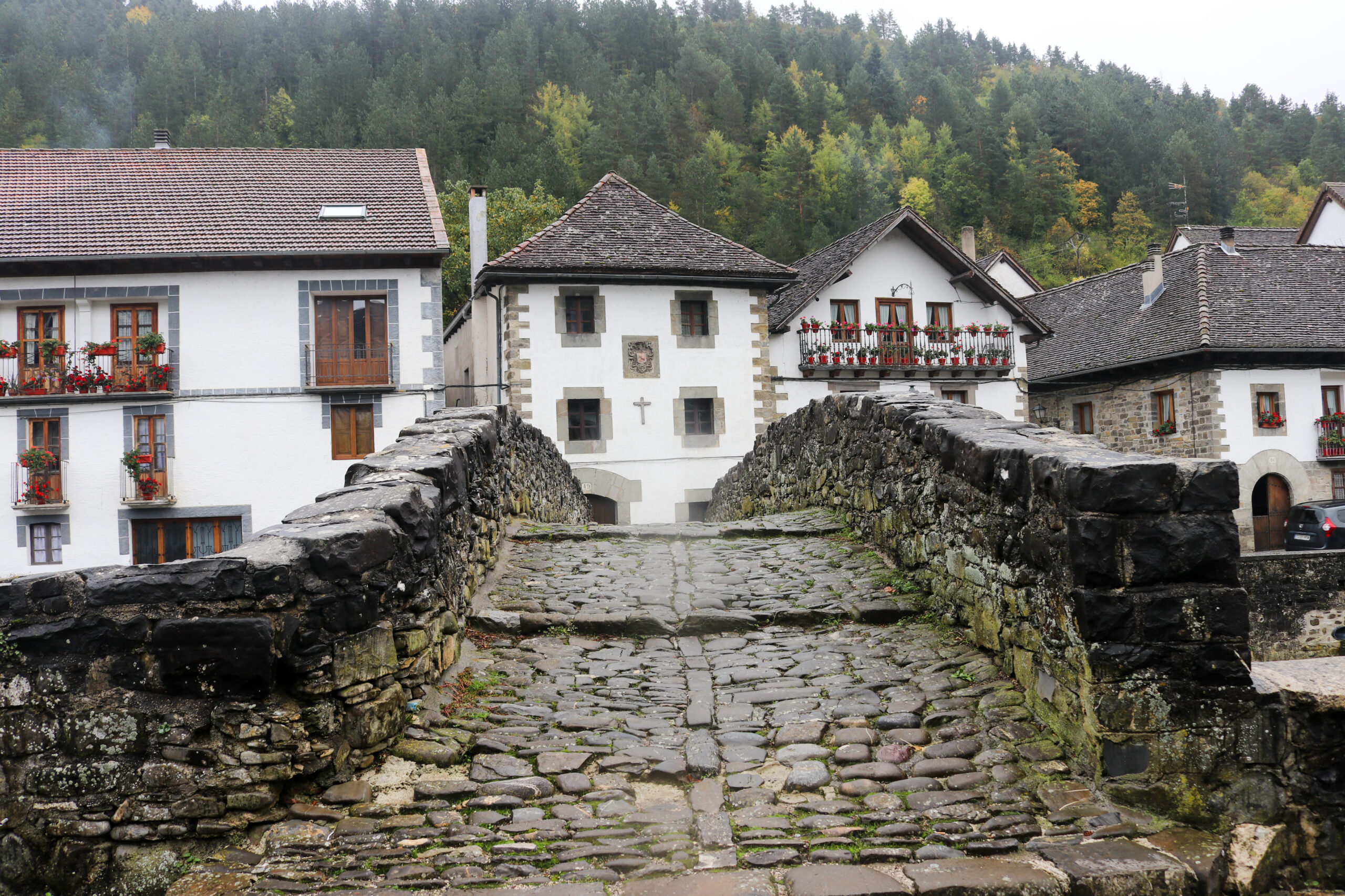 Ochagavia