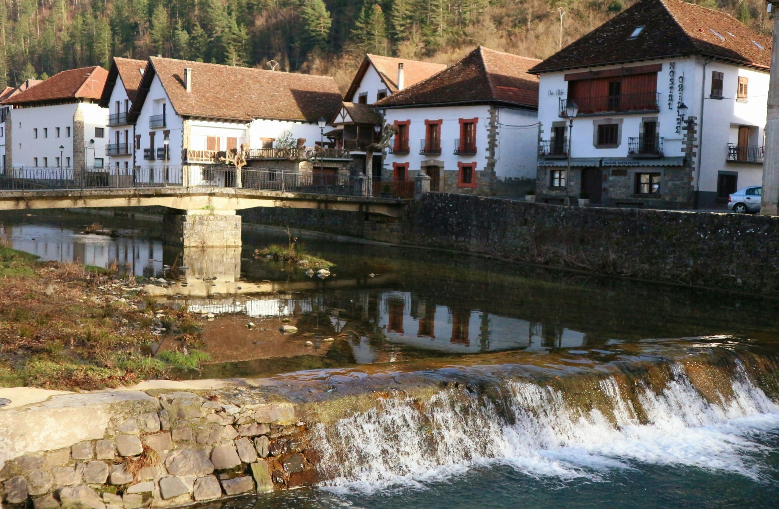Ochagavia