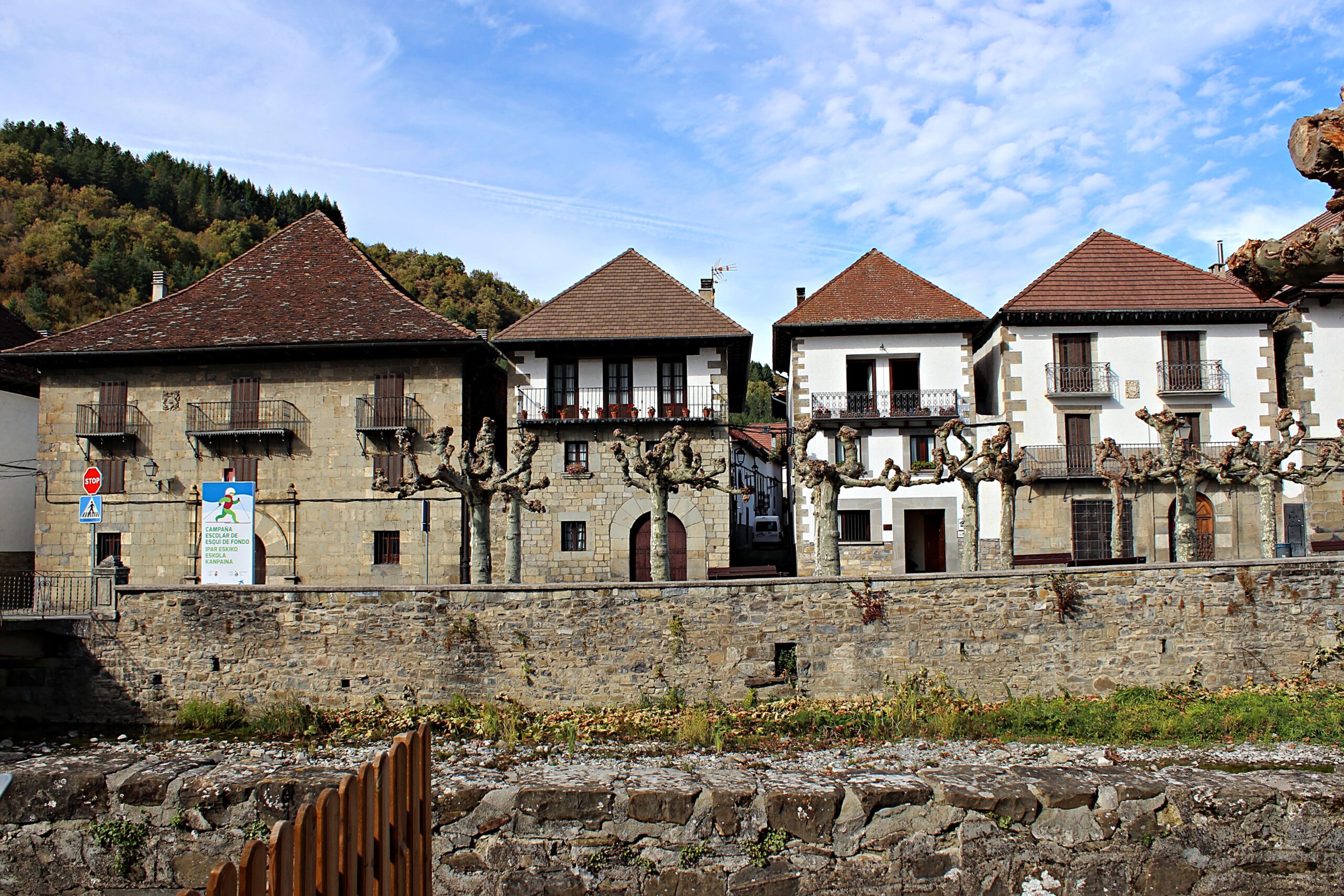 Ochagavia
