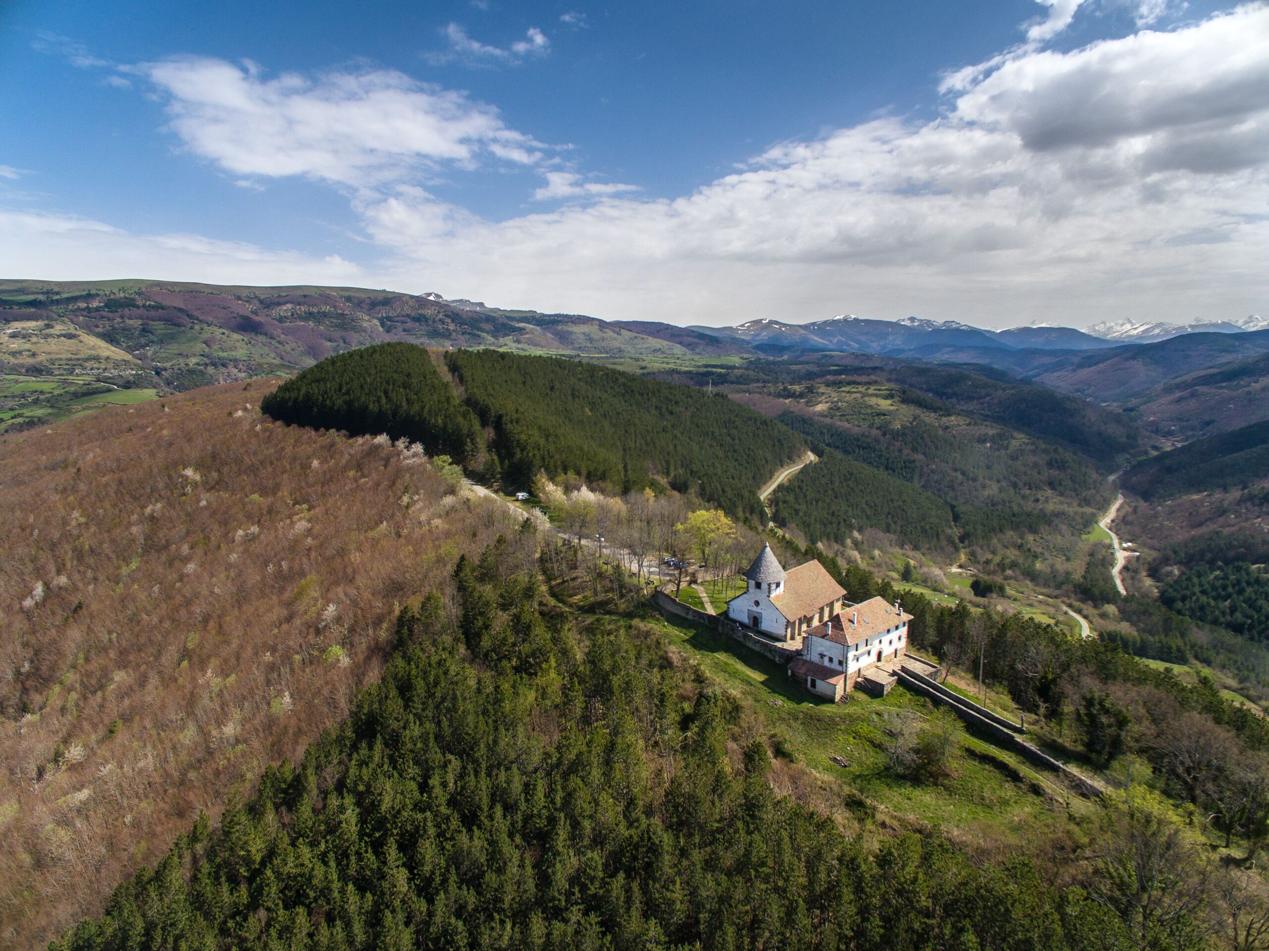 Ochagavia