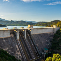 Un día en el pantano de Boadella