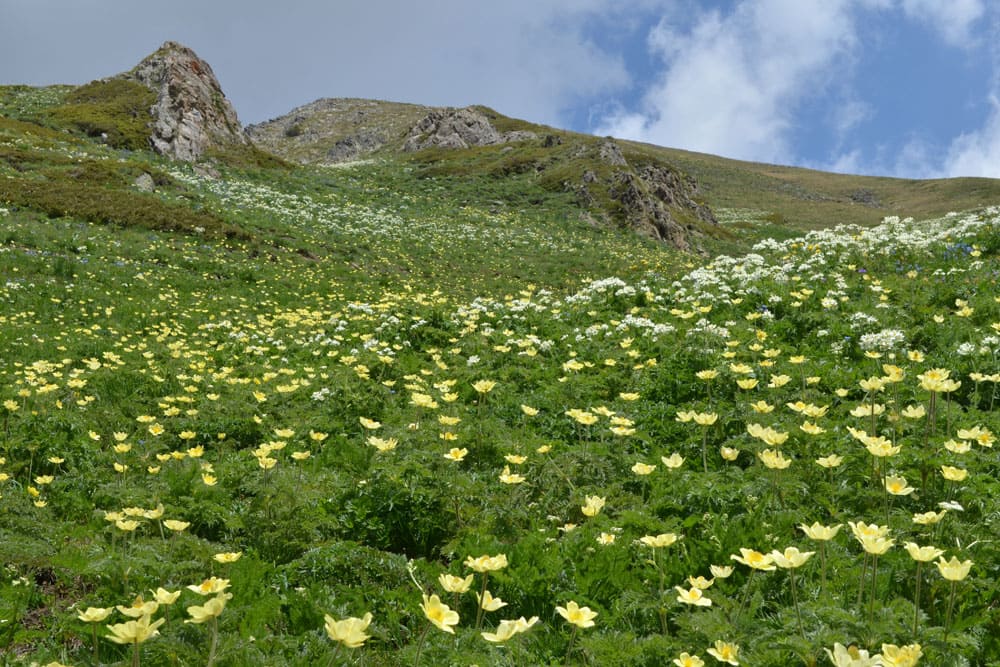Trekking en el Parque Natural de la Vall de Sorteny