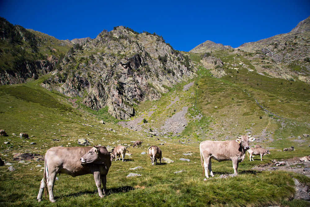 parque natural del comapedrosa