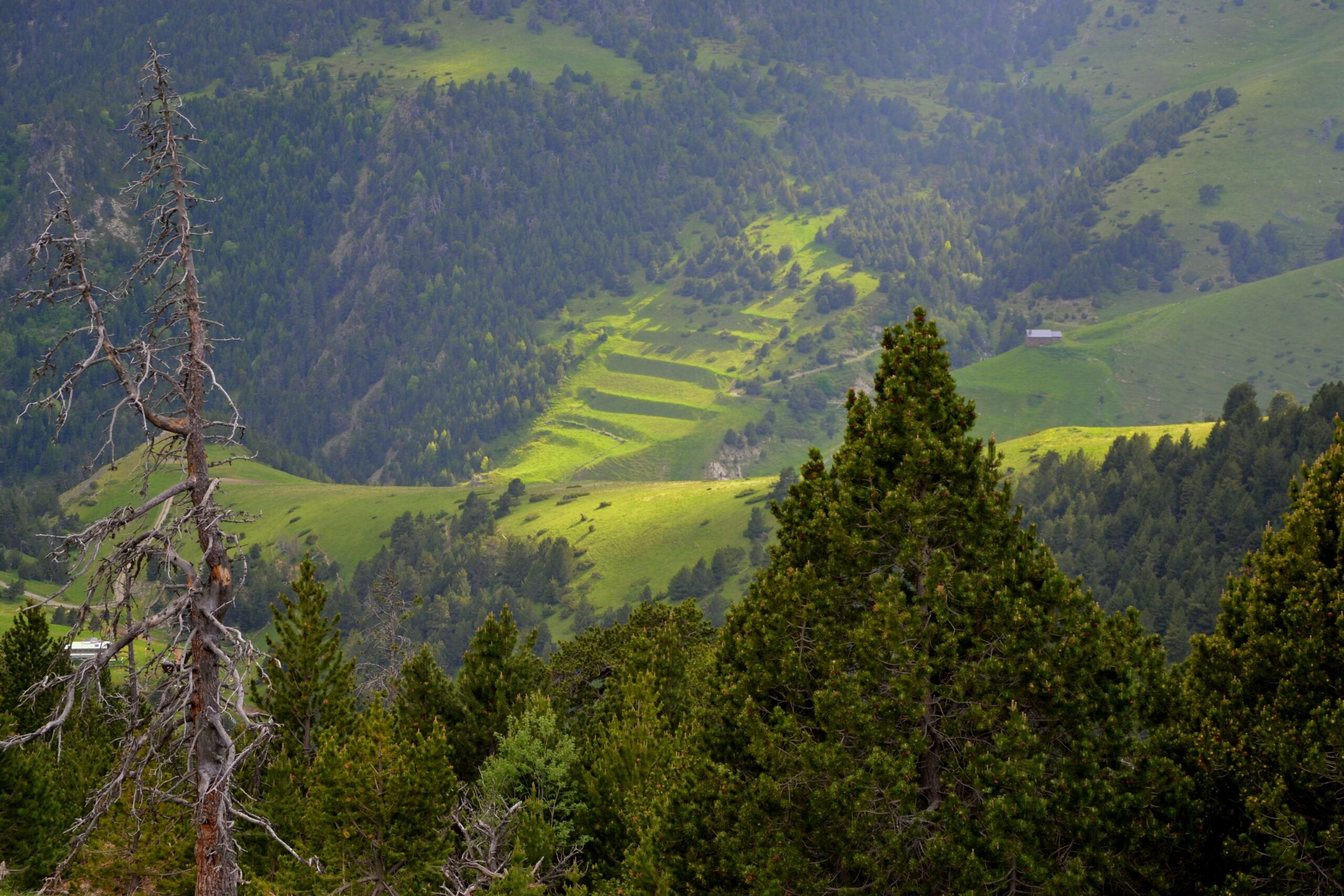 Descubre el pueblo medieval de Pal
