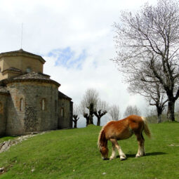 Ruta de los dólmenes de Aralar