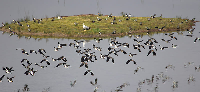 Urdaibai Bird Center Urdaibai Bird Center