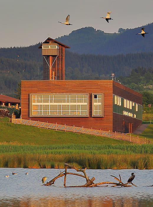 Urdaibai Bird Center Urdaibai Bird Center