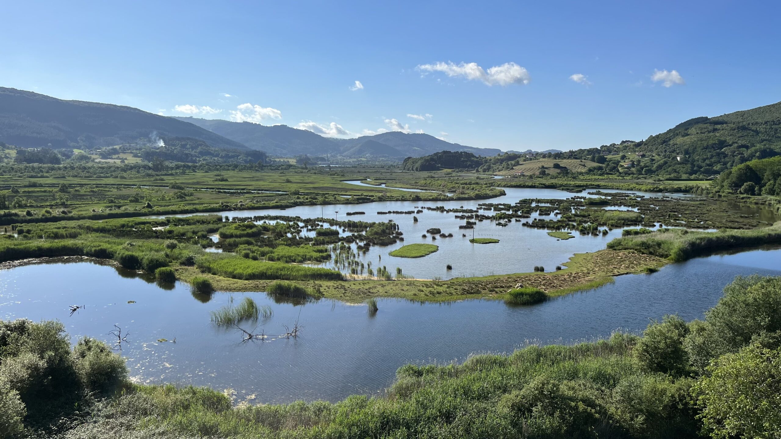 Urdaibai Bird Center Urdaibai Bird Center