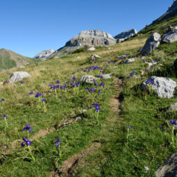 Vallée d’Aísa