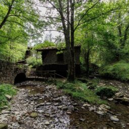 Promenade relaxante dans les forêts de Pagoeta
