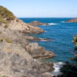 cala galera