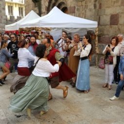 Mercado Medieval dels Canonges