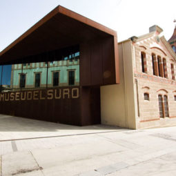 museo del corcho de palafrugell
