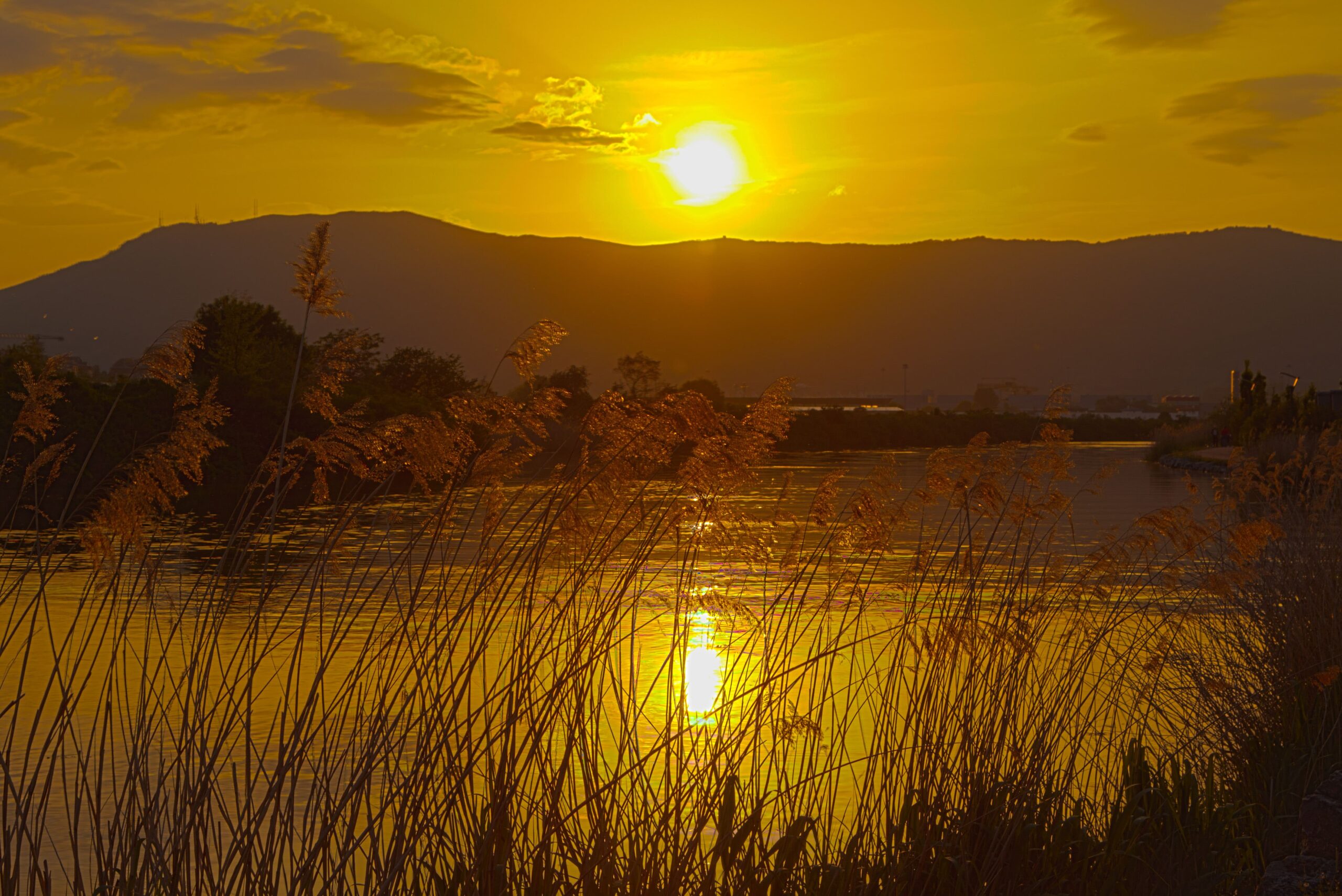 Río Bidasoa