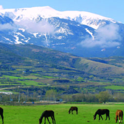Subir al pico Tosa d'Alp