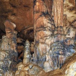 prullans cuevas