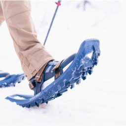 <strong>Raquetas de nieve en el Valle de Ordesa </strong>