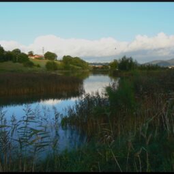 Paseo a orillas del río Bidasoa 