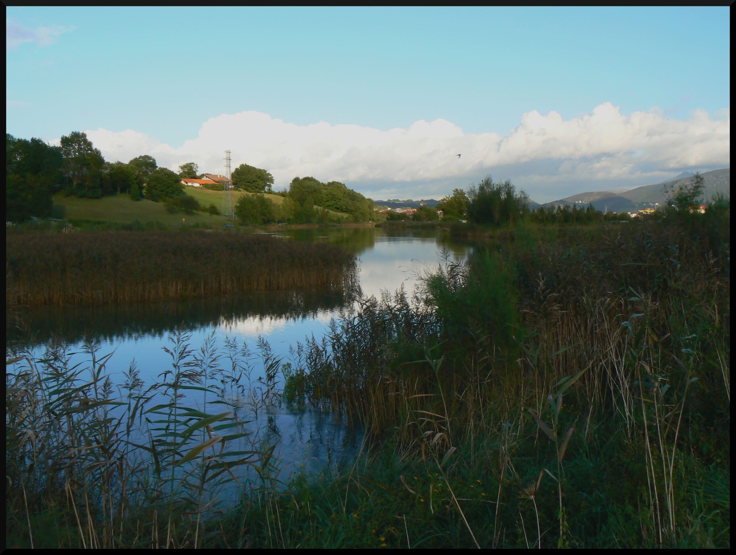 Río Bidasoa