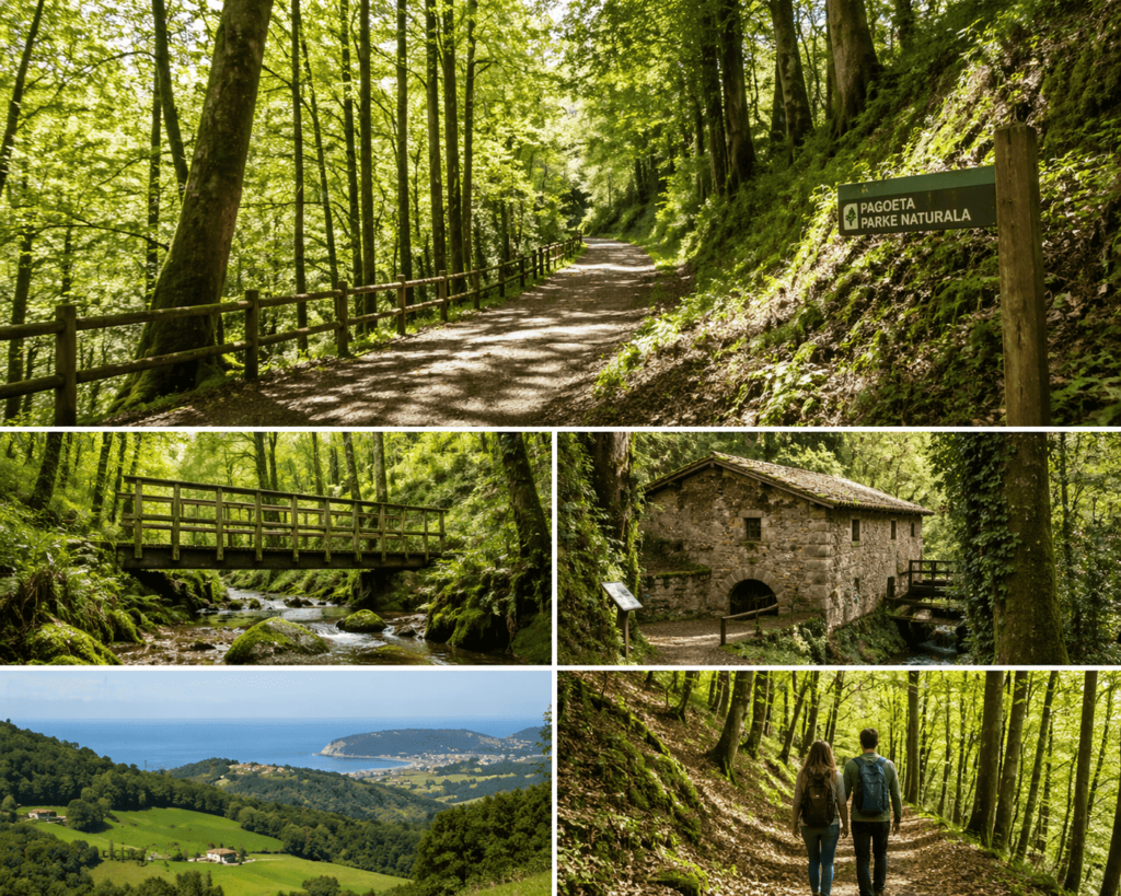 bosques de pagoeta